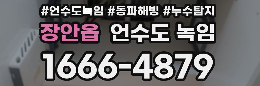 장안읍 언수도 녹임