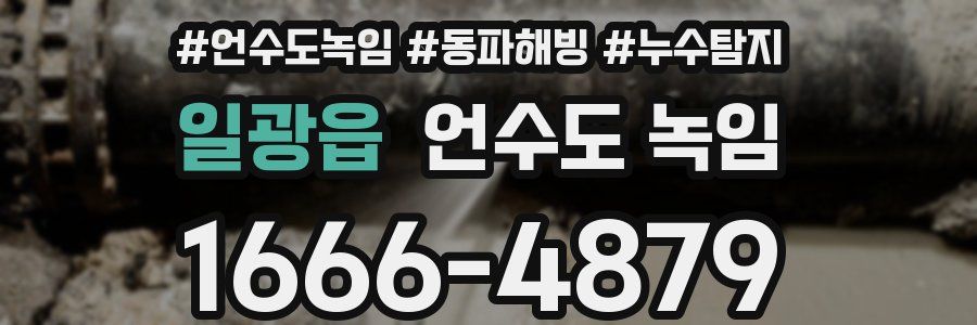 일광읍 언수도 녹임