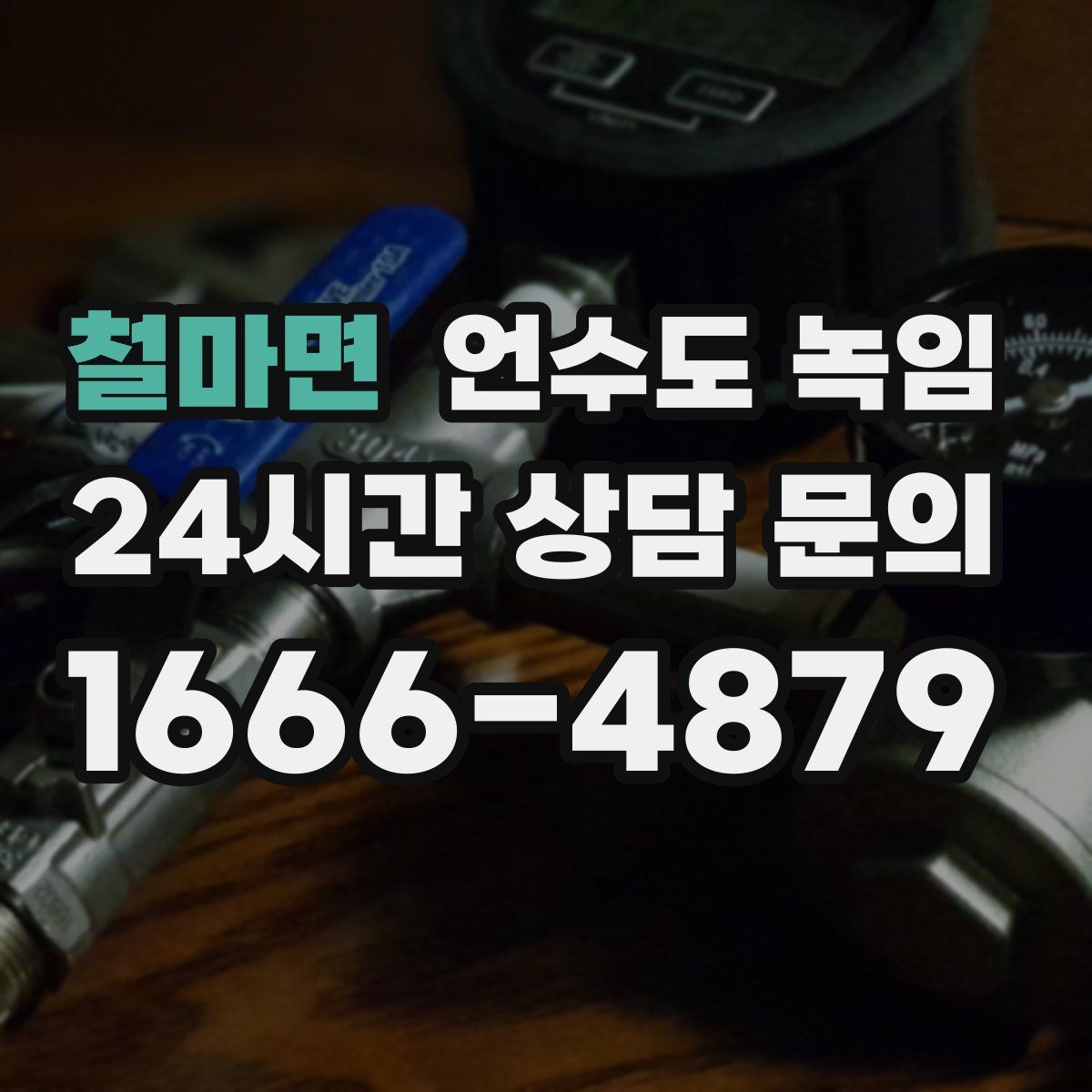 철마면 언수도 녹임