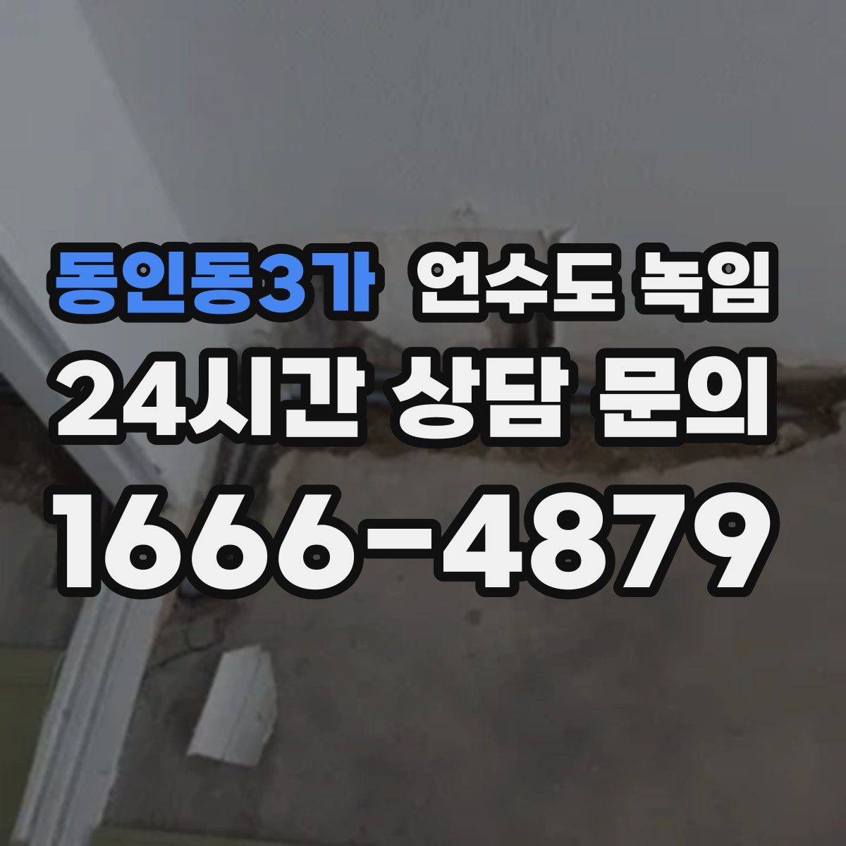 동인동3가 언수도 녹임