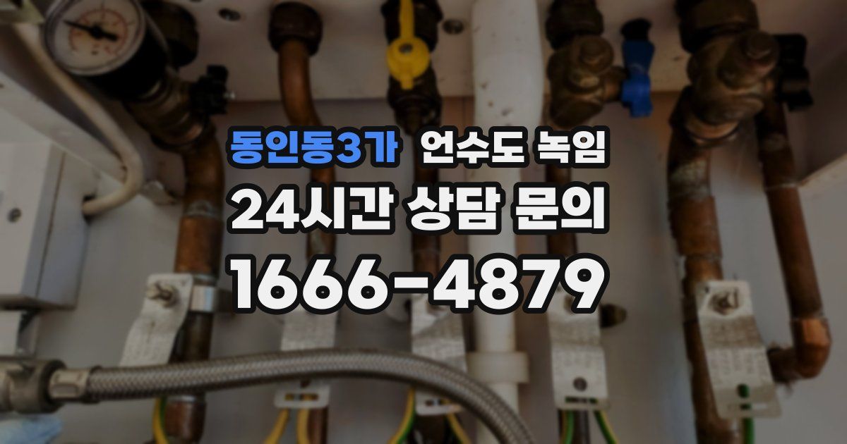 동인동3가 언수도 녹임