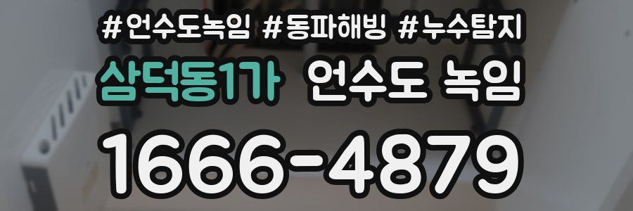 삼덕동1가 언수도 녹임