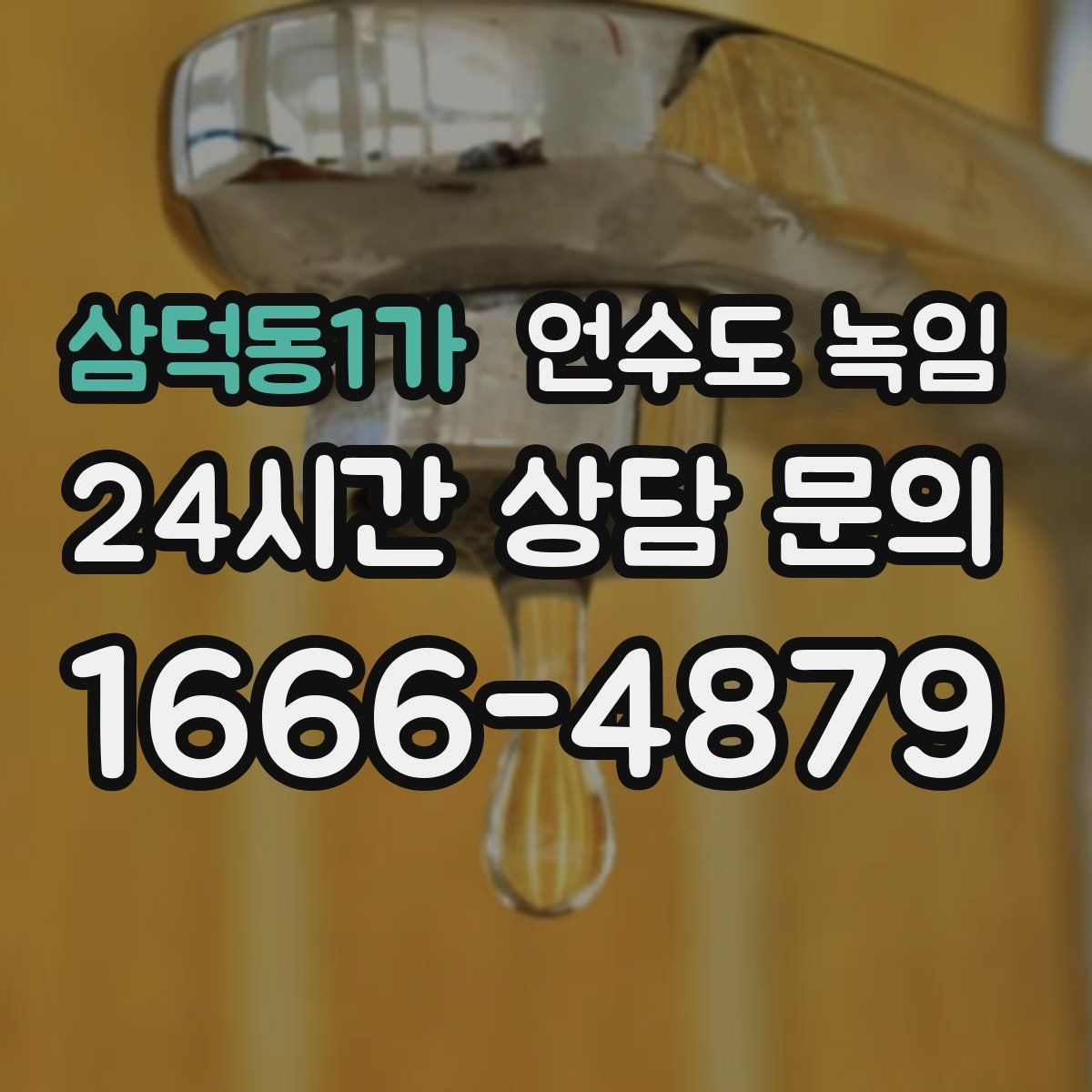 삼덕동1가 언수도 녹임