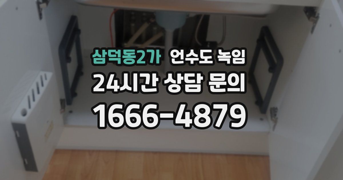 삼덕동2가 언수도 녹임