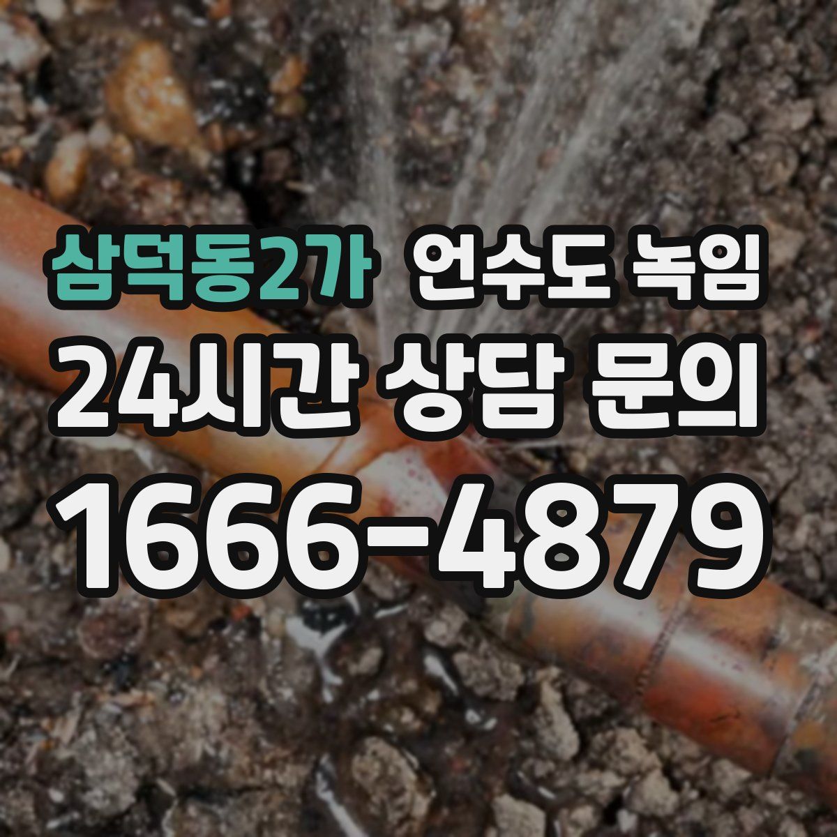 삼덕동2가 언수도 녹임