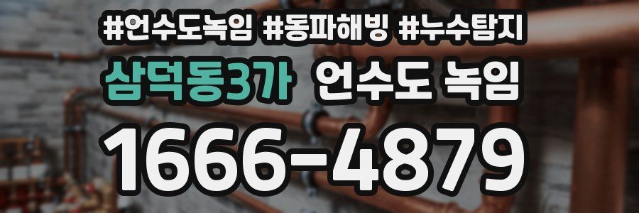 삼덕동3가 언수도 녹임