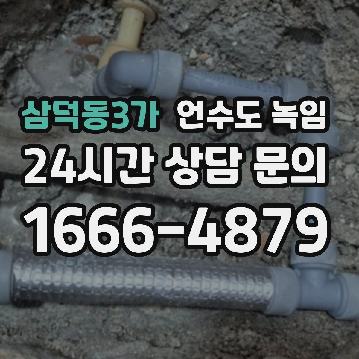 삼덕동3가 언수도 녹임