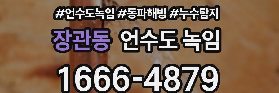 장관동 언수도 녹임