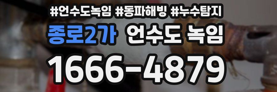 종로2가 언수도 녹임
