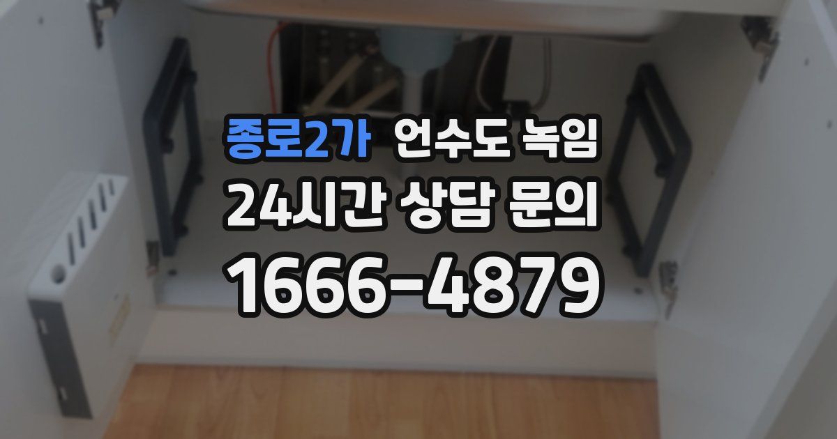 종로2가 언수도 녹임