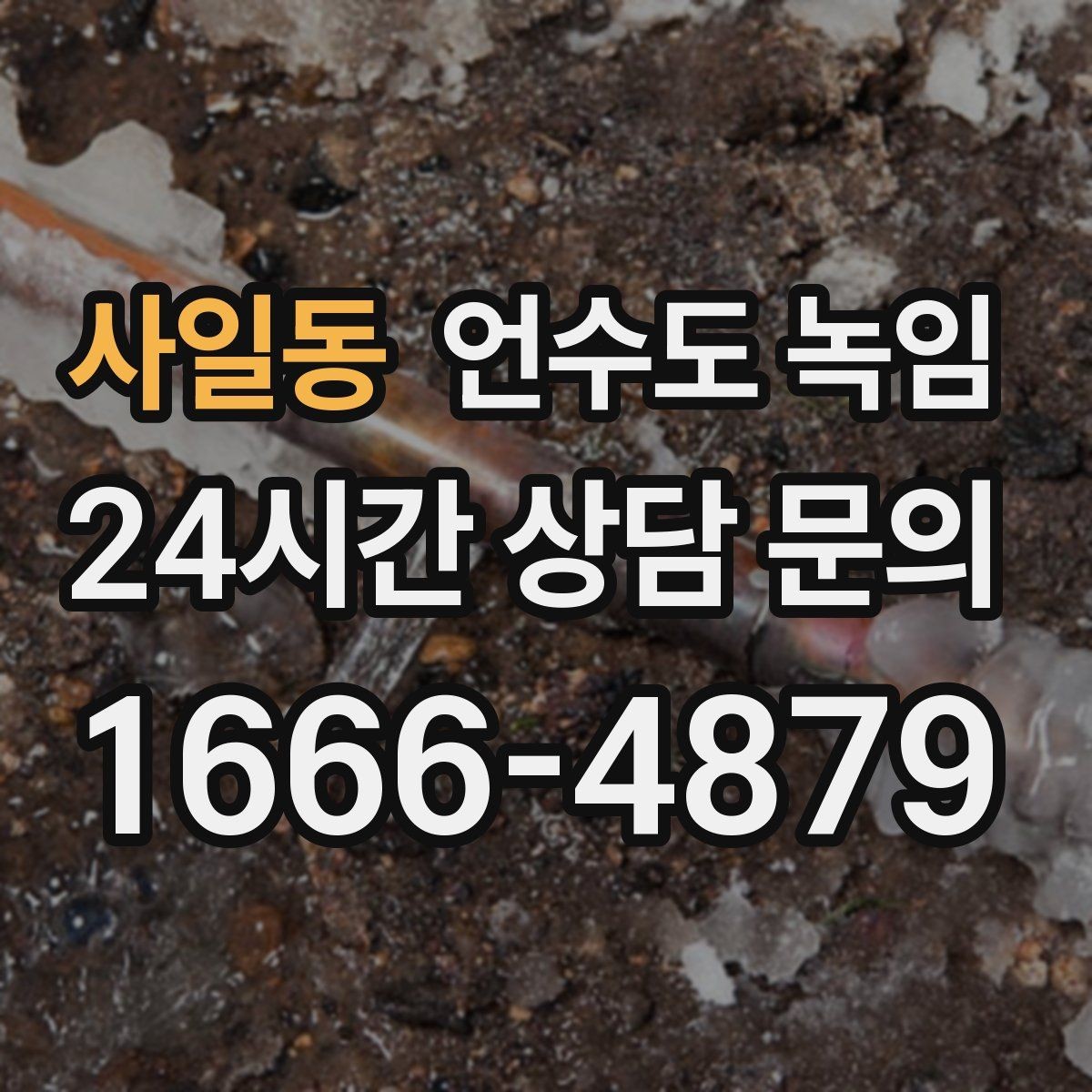 사일동 언수도 녹임 뜨거운 물 붓기가 위험한 이유를 쉽게 정리