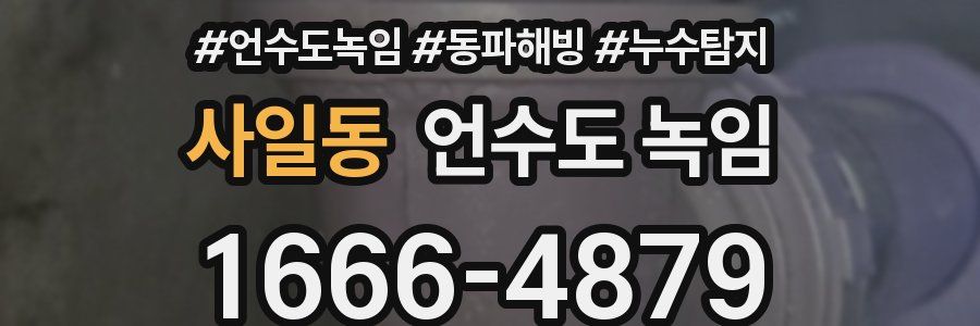 사일동 언수도 녹임