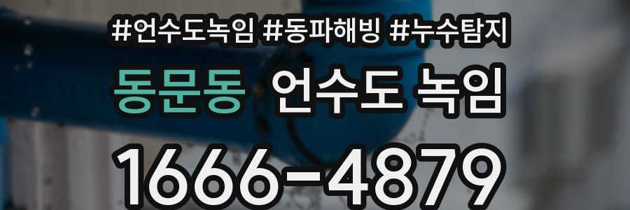 동문동 언수도 녹임