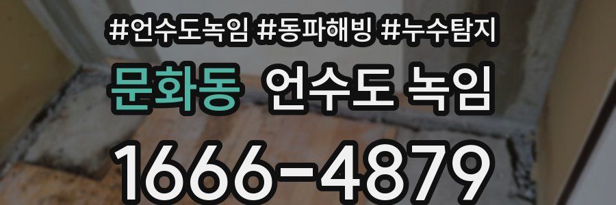 문화동 언수도 녹임