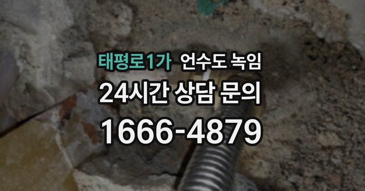 태평로1가 언수도 녹임