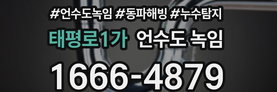 태평로1가 언수도 녹임