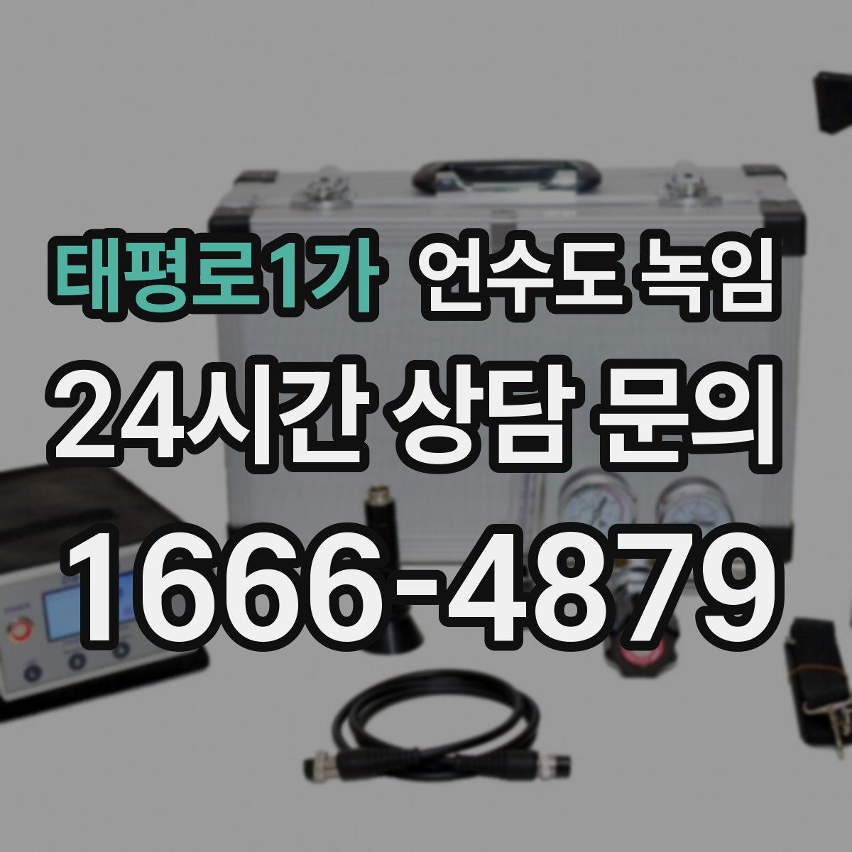 태평로1가 언수도 녹임