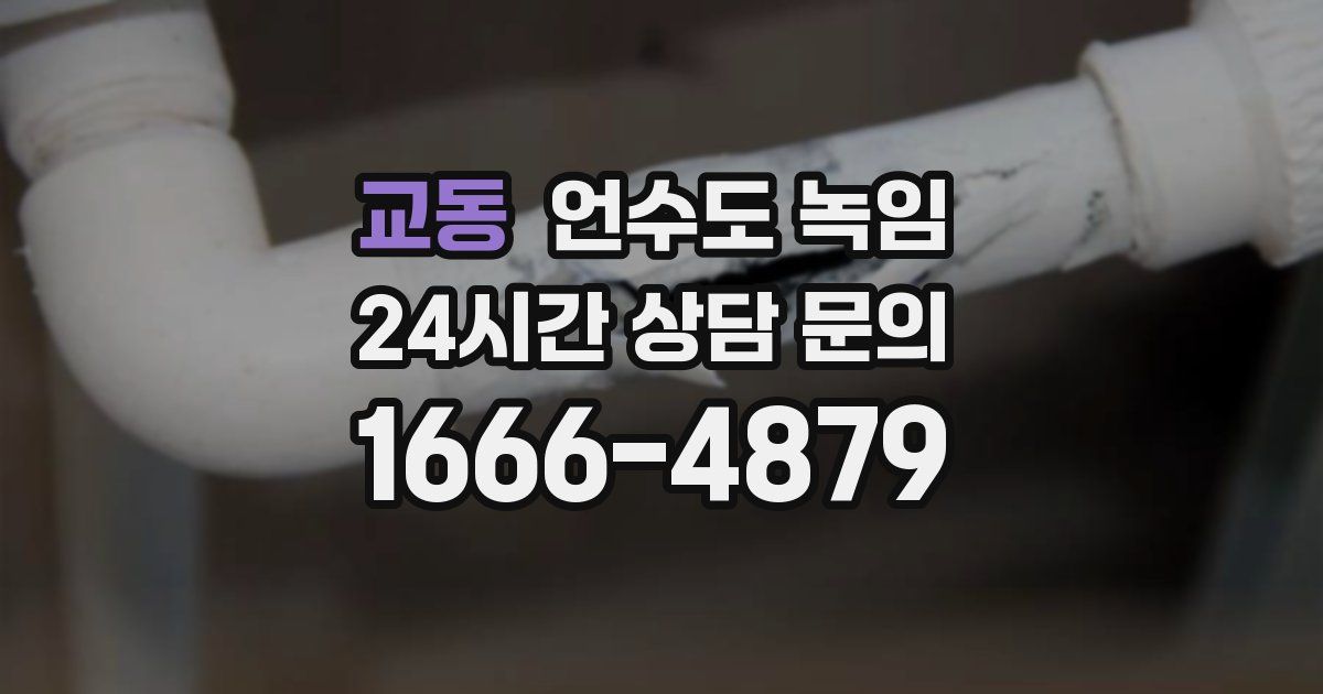 교동 언수도 녹임