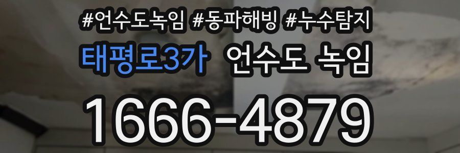 태평로3가 언수도 녹임