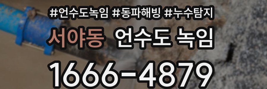 서야동 언수도 녹임