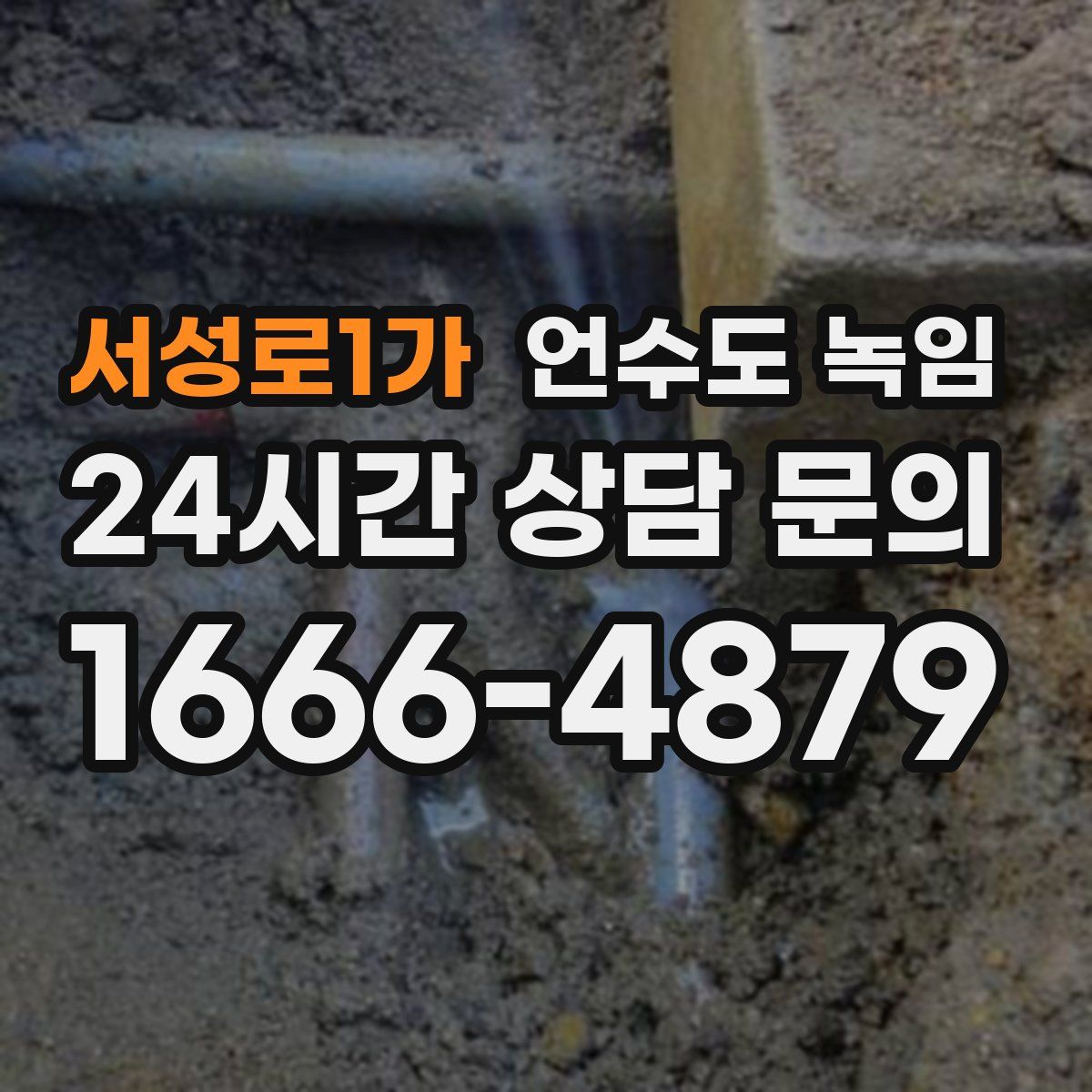 서성로1가 언수도 녹임