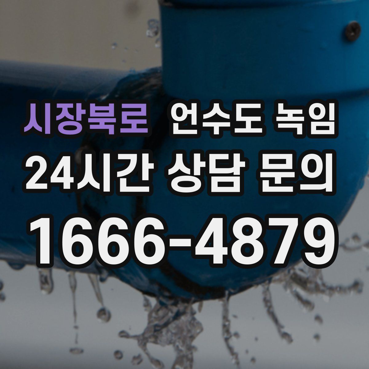 시장북로 언수도 녹임