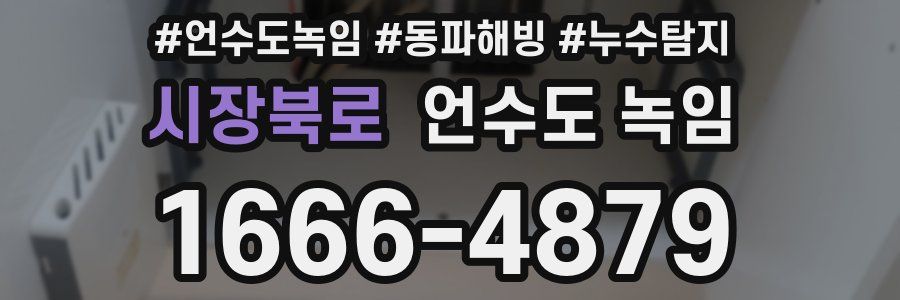시장북로 언수도 녹임