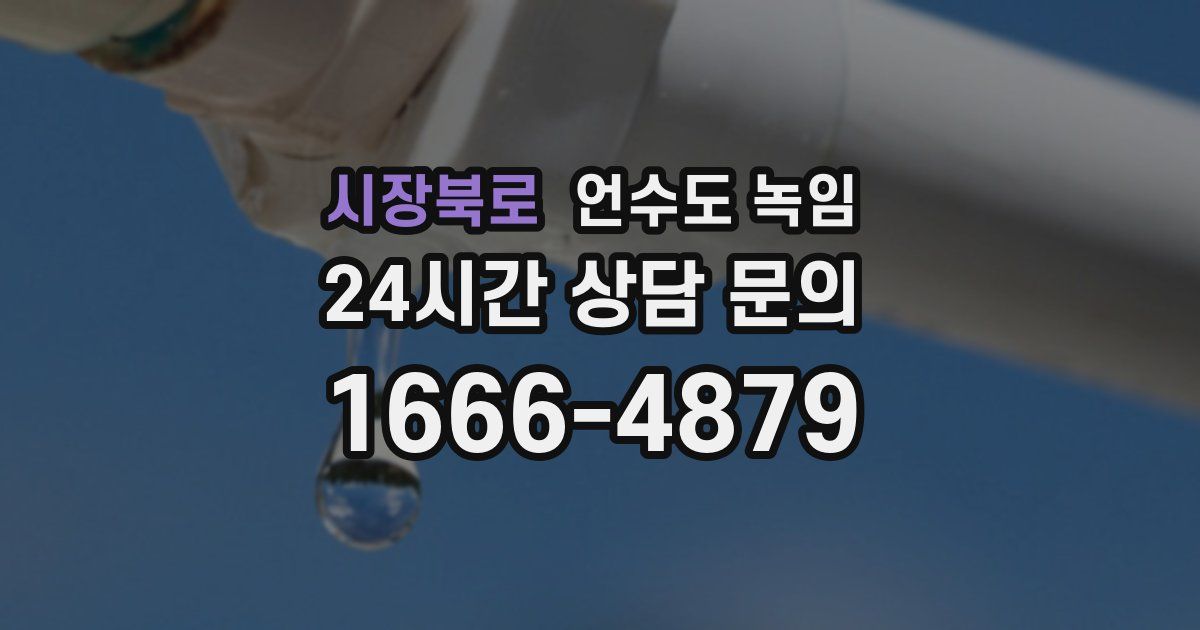 시장북로 언수도 녹임