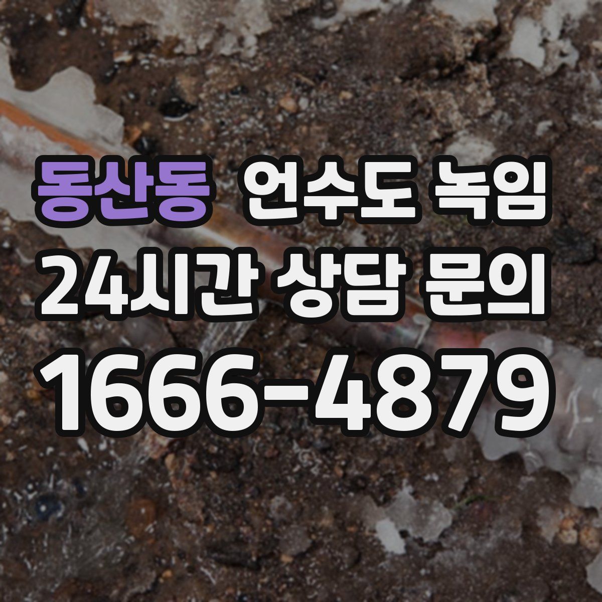 동산동 언수도 녹임