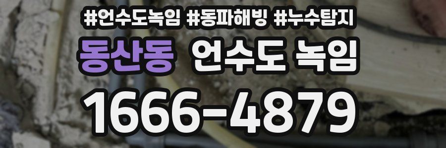 동산동 언수도 녹임