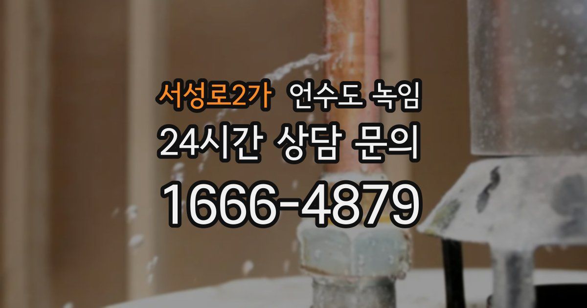 서성로2가 언수도 녹임