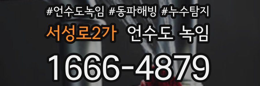 서성로2가 언수도 녹임
