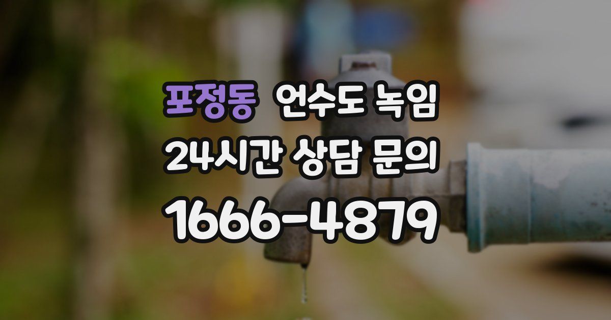 포정동 언수도 녹임