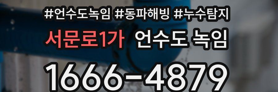 서문로1가 언수도 녹임