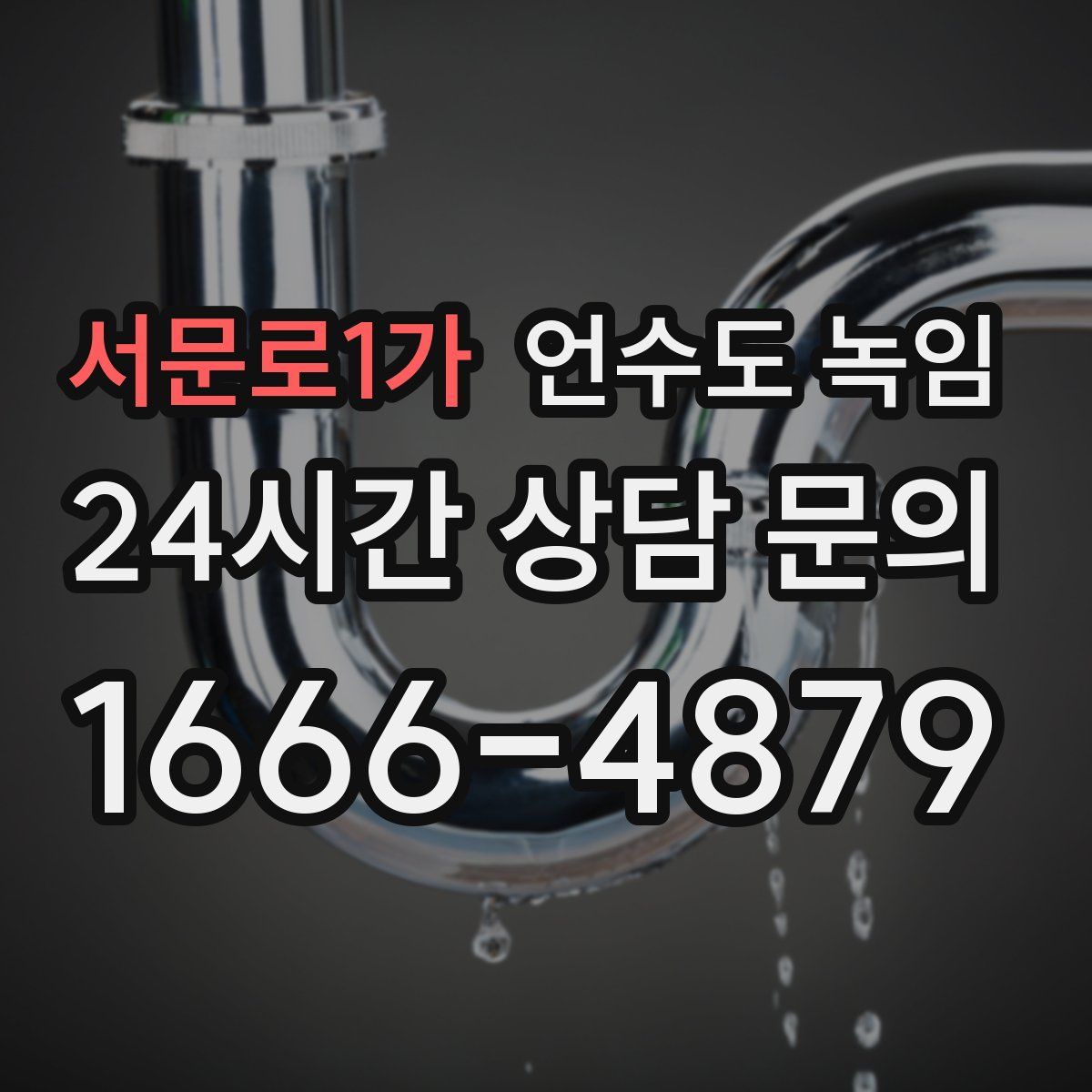 서문로1가 언수도 녹임