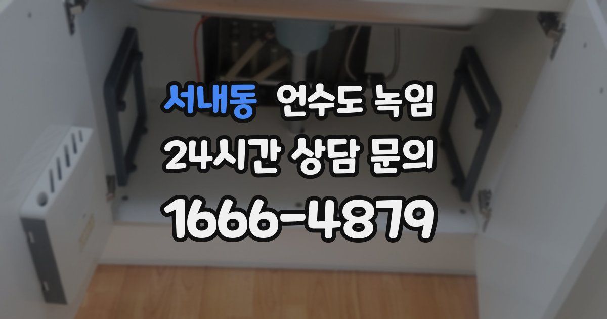 서내동 언수도 녹임