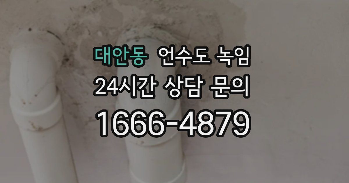 대안동 언수도 녹임