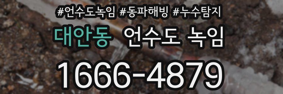 대안동 언수도 녹임