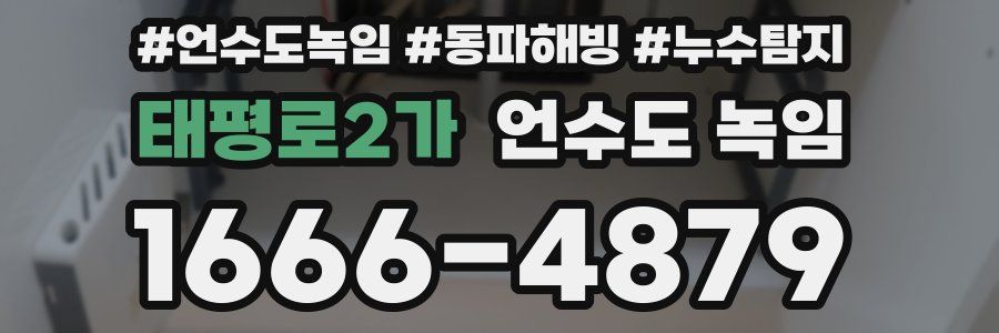 태평로2가 언수도 녹임