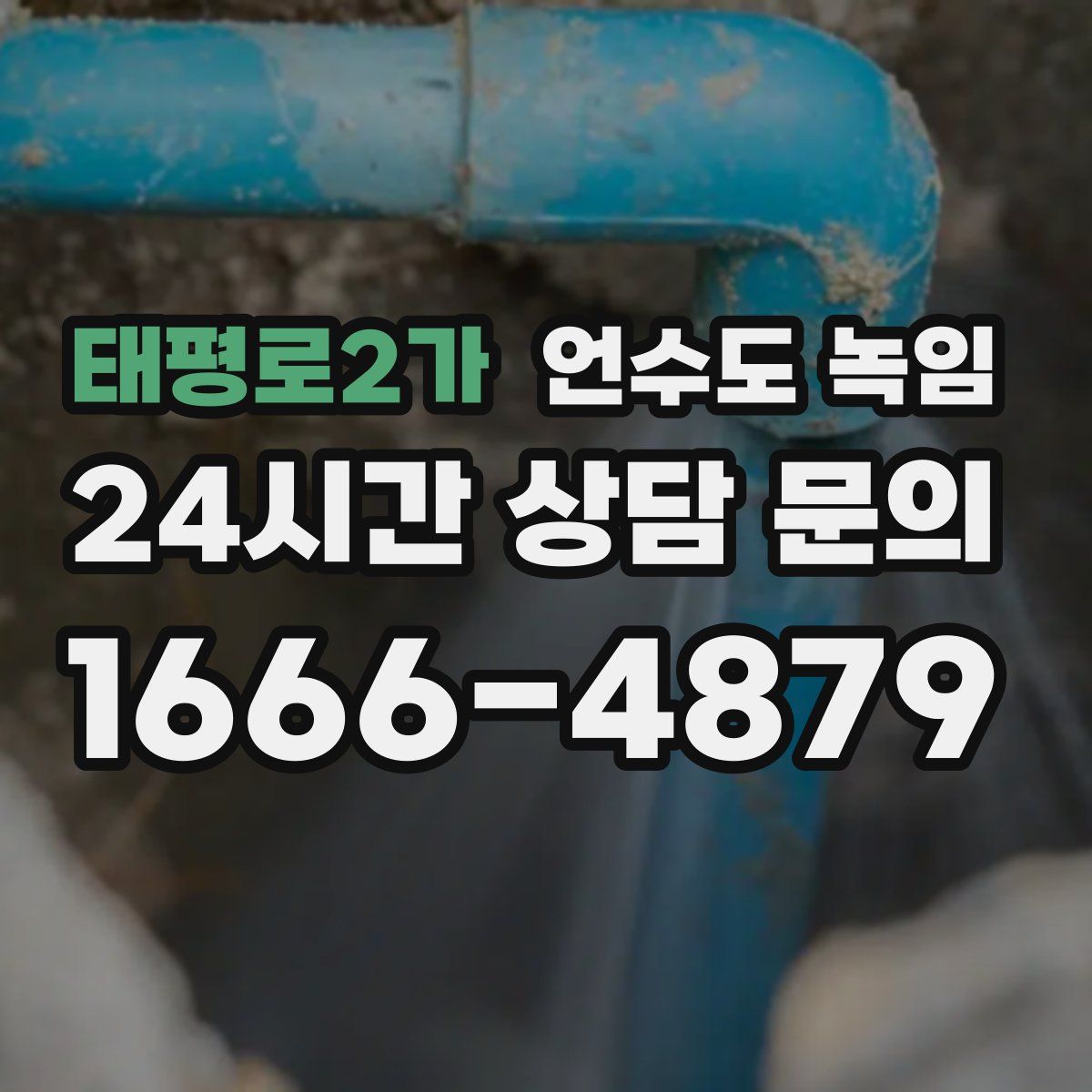 태평로2가 언수도 녹임