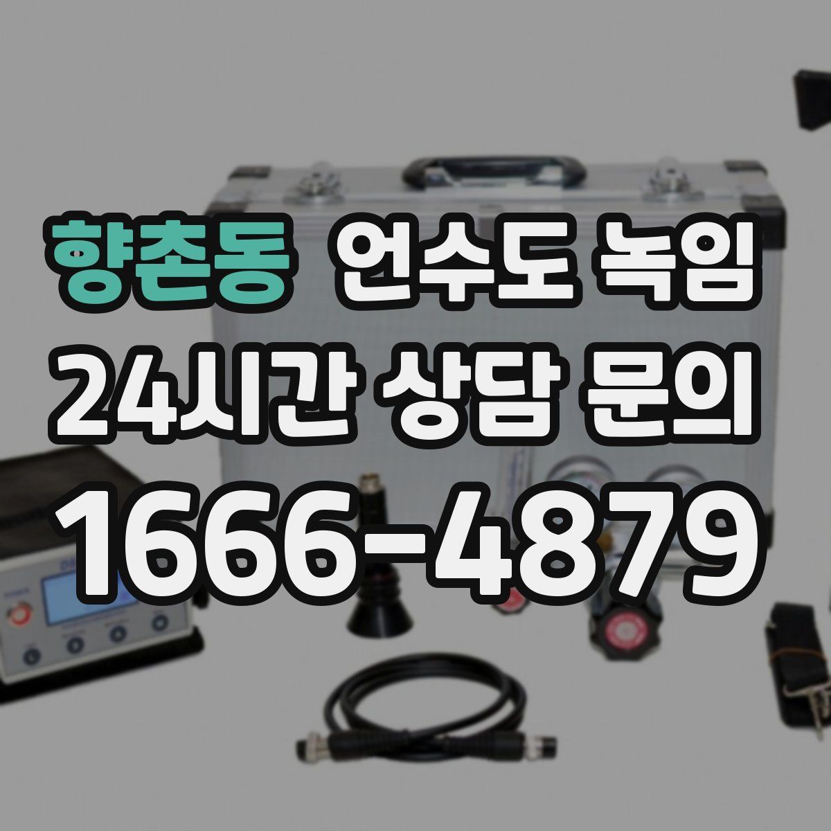 향촌동 언수도 녹임