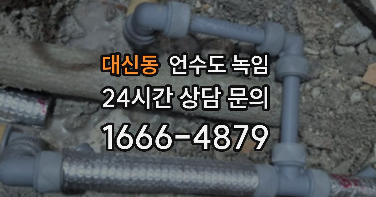 대신동 언수도 녹임