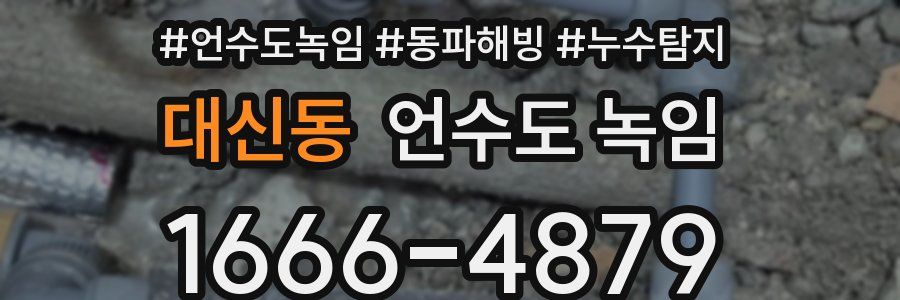 대신동 언수도 녹임