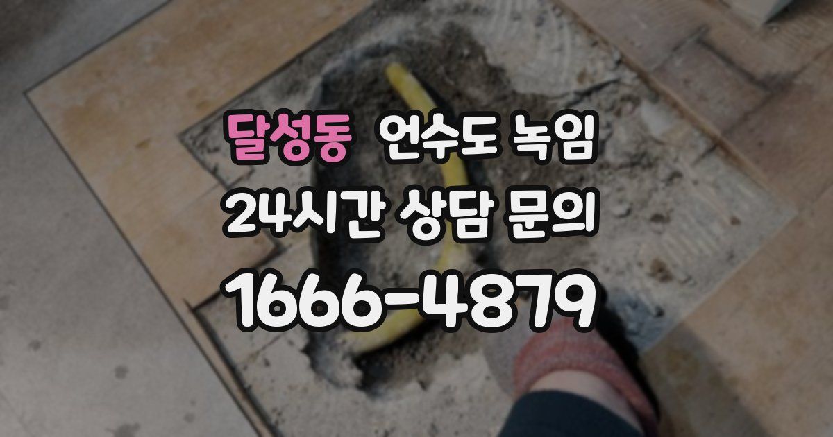 달성동 언수도 녹임