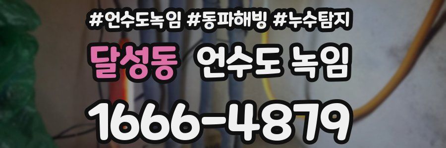 달성동 언수도 녹임