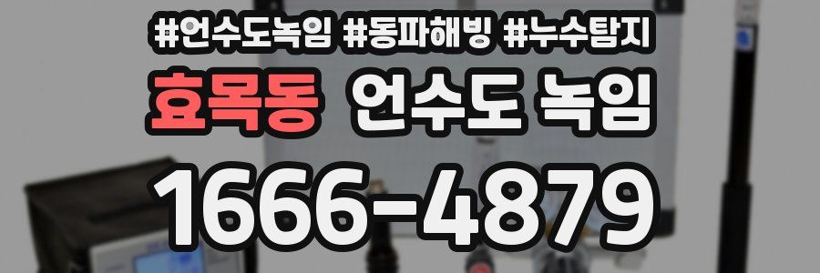 효목동 언수도 녹임