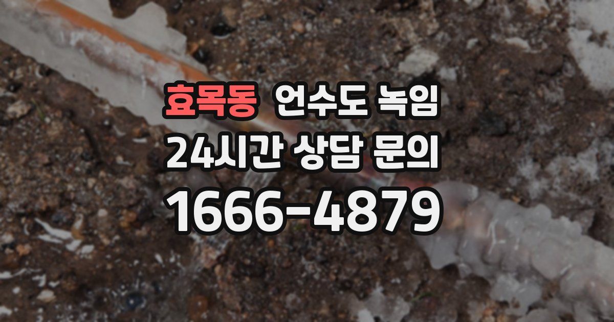 효목동 언수도 녹임