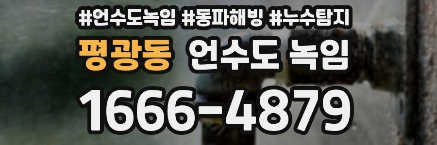 평광동 언수도 녹임