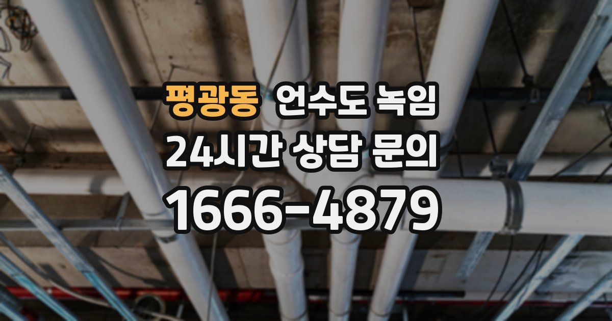 평광동 언수도 녹임