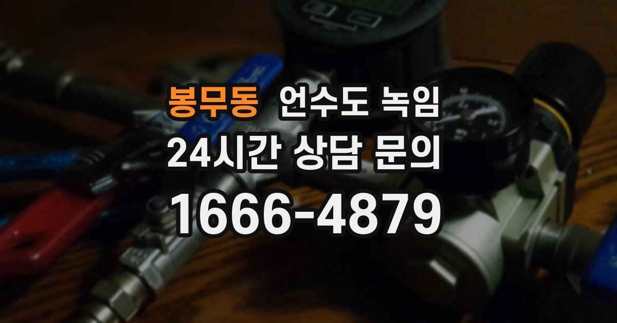 봉무동 언수도 녹임